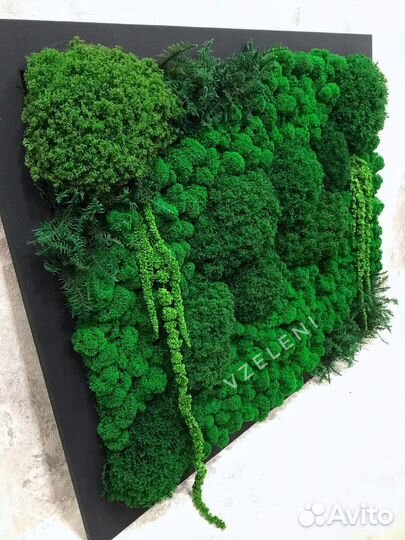 Интерьерное панно из стабилизированного мха