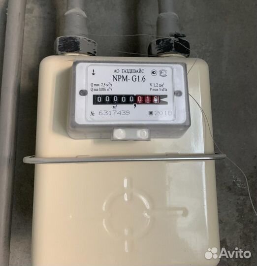 Газовый счетчик NPM g-1.6