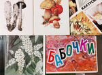 Набор открыток СССР Кактусы Бабочки Растения леса