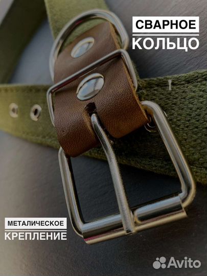 Брезентовый ошейник для собак