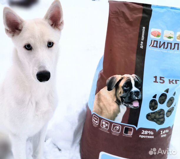 Сухой корм для собак