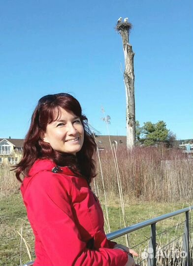 Няня для ребенка, 43 г