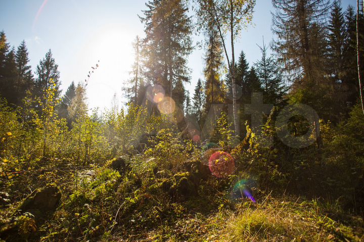 Участок 14,4 сот. (ИЖС)