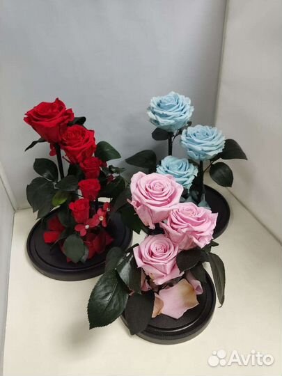 Подарок на новый год/ Роза в колбе