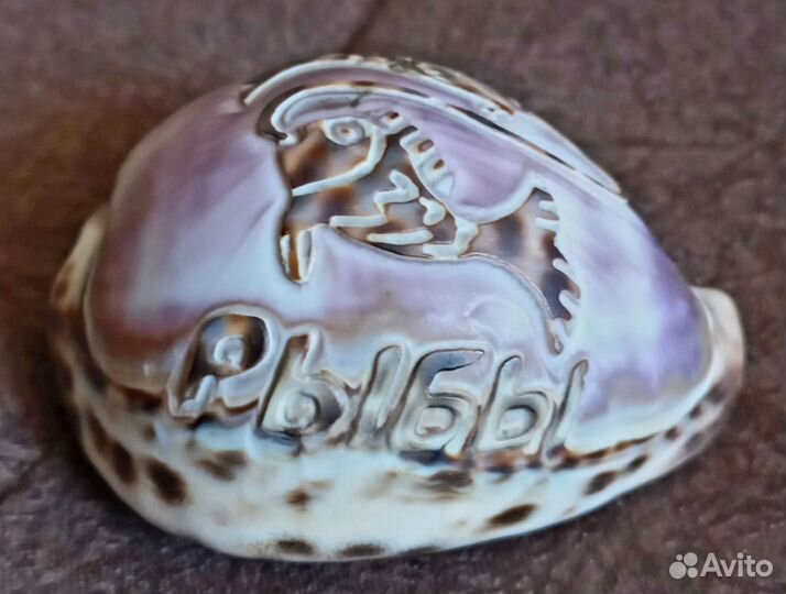 Интерьер знак зодиака рыбы