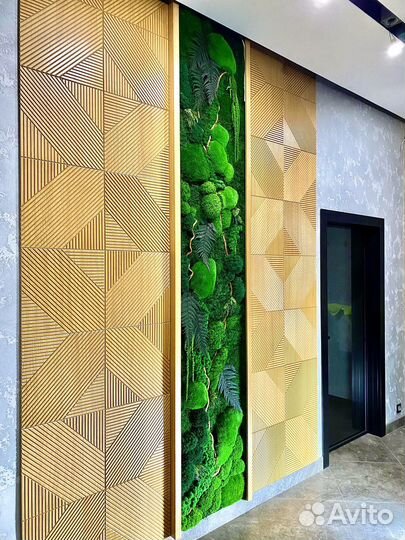 Стабилизированный Мох. Озеленение. Фитостена