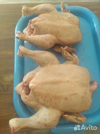 Куры бройлеры домашние, не фермерские