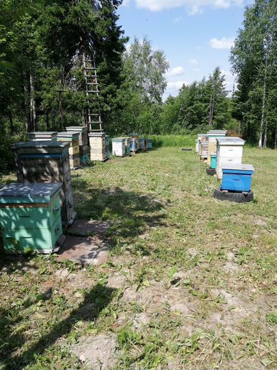 Участок 10 сот. (СНТ, ДНП)