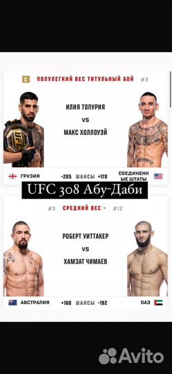 Билеты на UFC 308: Topuria vs Holloway/ 26 октября