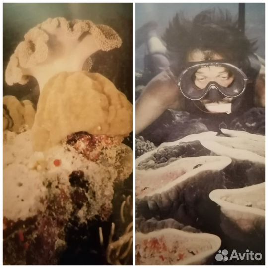 Книги от 50. договоримся