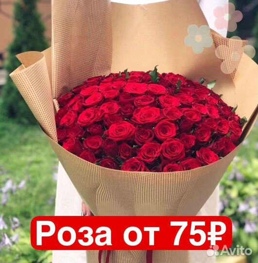 Букет 25 роз, букет 51 роза, букет 101 роза