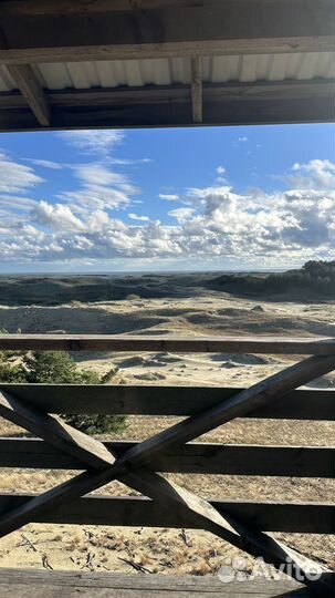 Поездка на куршскую косу, прогулка по Янтарному