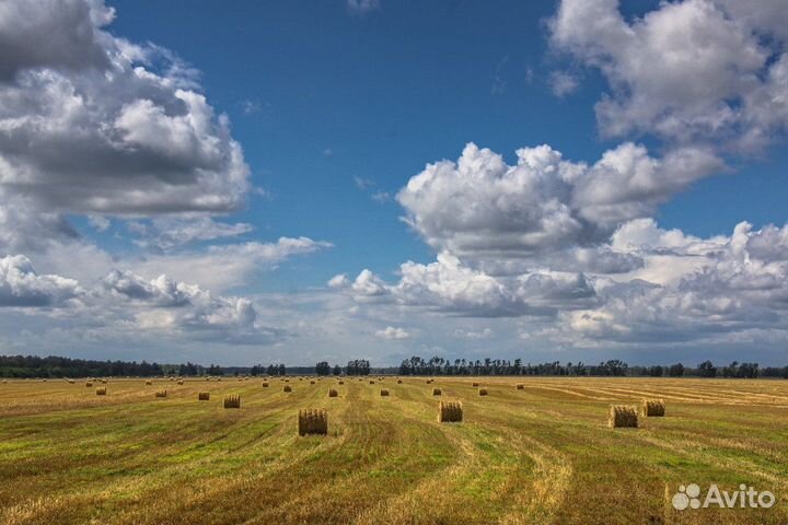 Сельскохозяйственное предприятие 7000 га