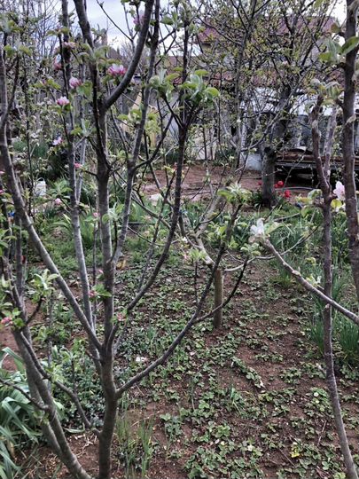 Участок 5 сот. (СНТ, ДНП)