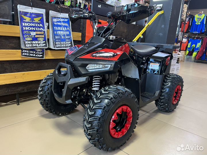 Квадроцикл Tao Mudhawk 110