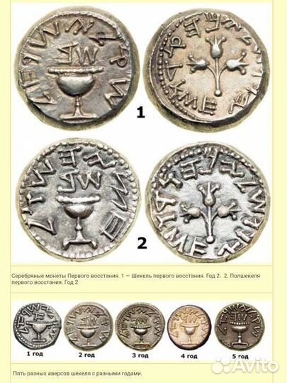 Шекель Первой Иудейской войны