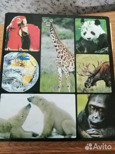 Книги про животных