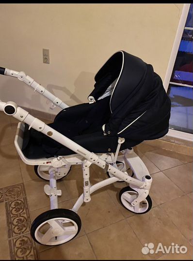 Коляска 2 в 1 Adamex Massimo