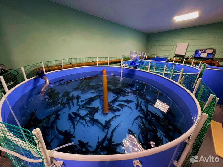 Оборудование для узв