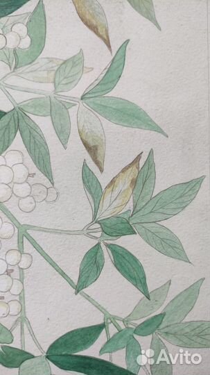 Картина. Графика. Копия японской гравюры