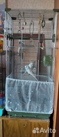 Клетка для попугая +пара попугаев