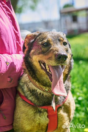 Лоре нельзя жить в приюте, ей очень нужен дом