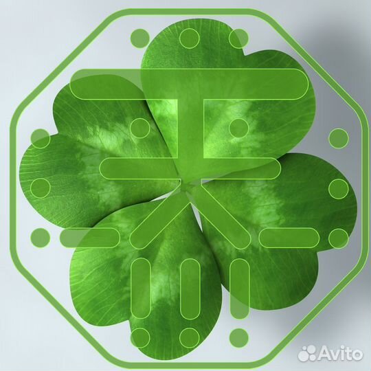 Ищу инвестора готовый бизнес пассивный доход 25%