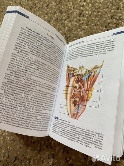 Атлас анатомии человека Р.П.Самусев