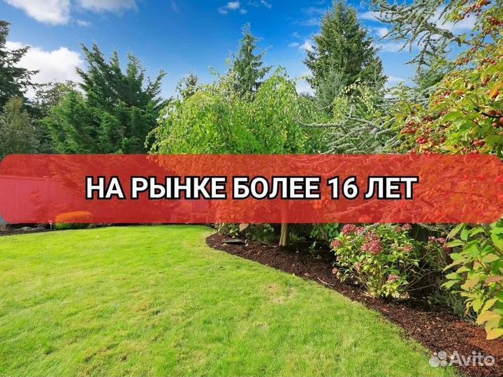 Рулонный газон от производителя