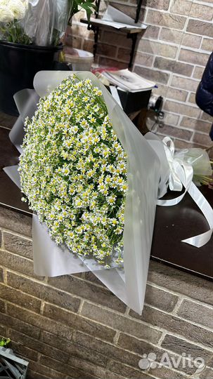 Букет ромашек 25 ромашек