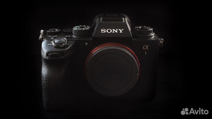 Sony A1 body
