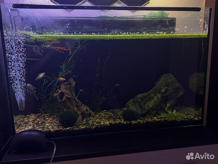 Аквариум