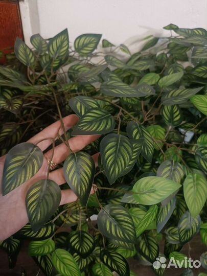 Фикус искусственный