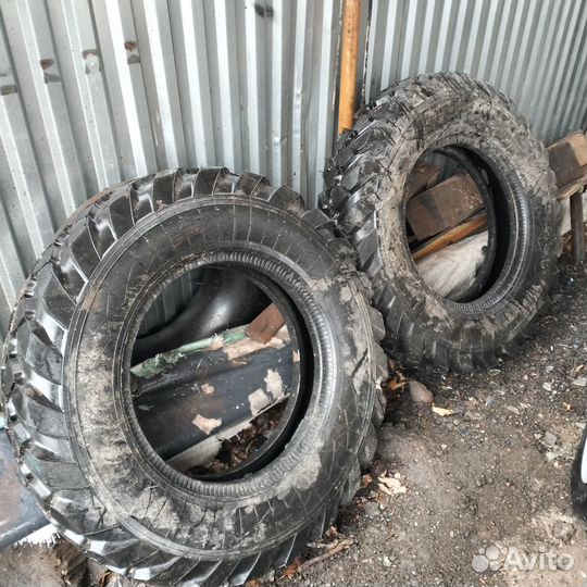 Шины от газ 53