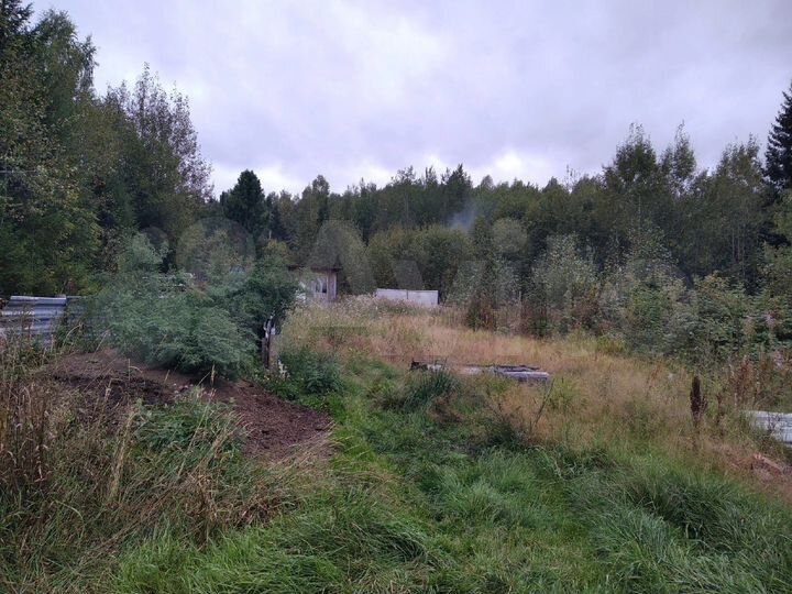 Участок 10 сот. (СНТ, ДНП)