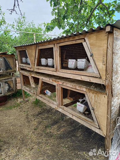 Кроликоферма