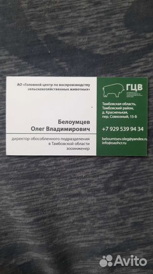 Сперма быков производителей