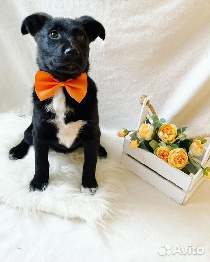 Малышка от наикрасивейшей мамки