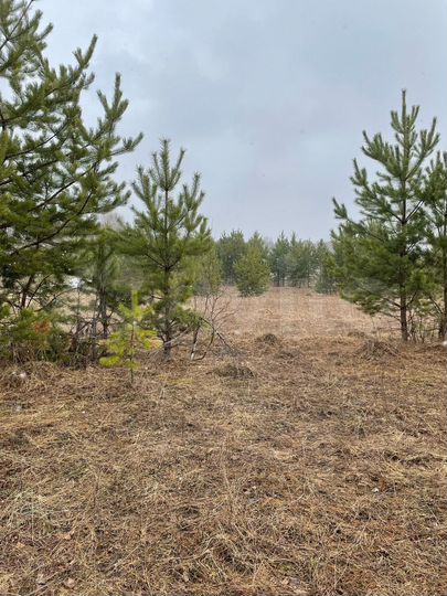 Участок 11,9 сот. (ИЖС)