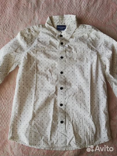 Рубашка на мальчика Coccodrillo рост 134