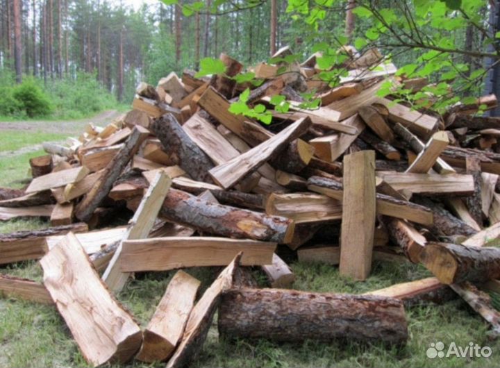 Дрова дуб