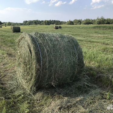 Сено и солома в рулонах