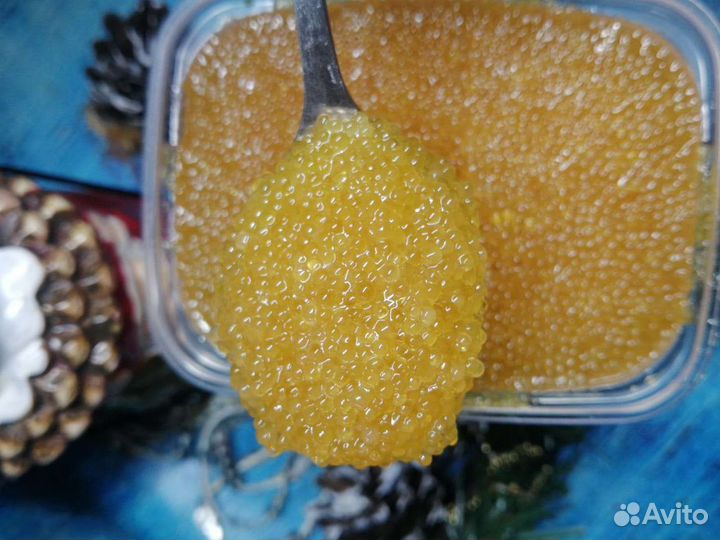 Икра щуки