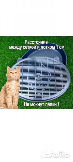 Лоток для котят