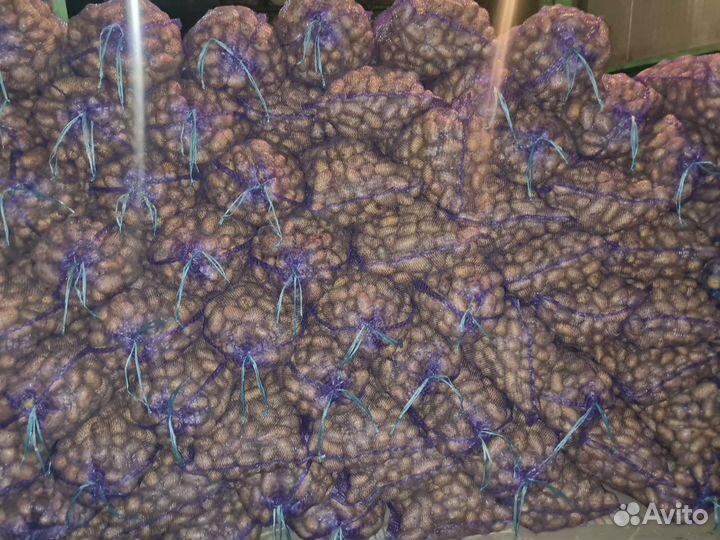 Продукты питания