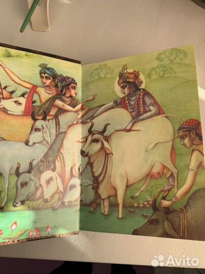 Книга кулинарная Веджа