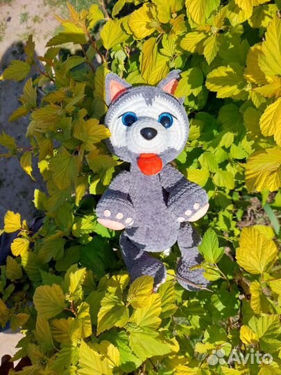 Пара волчат