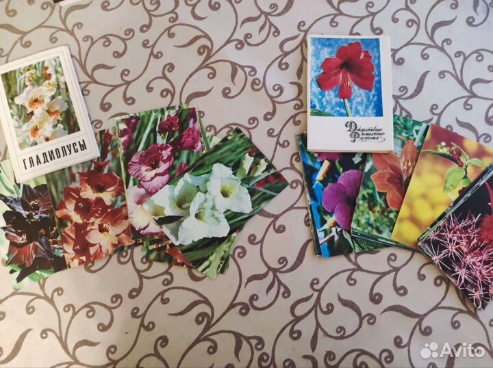 Открытки СССР