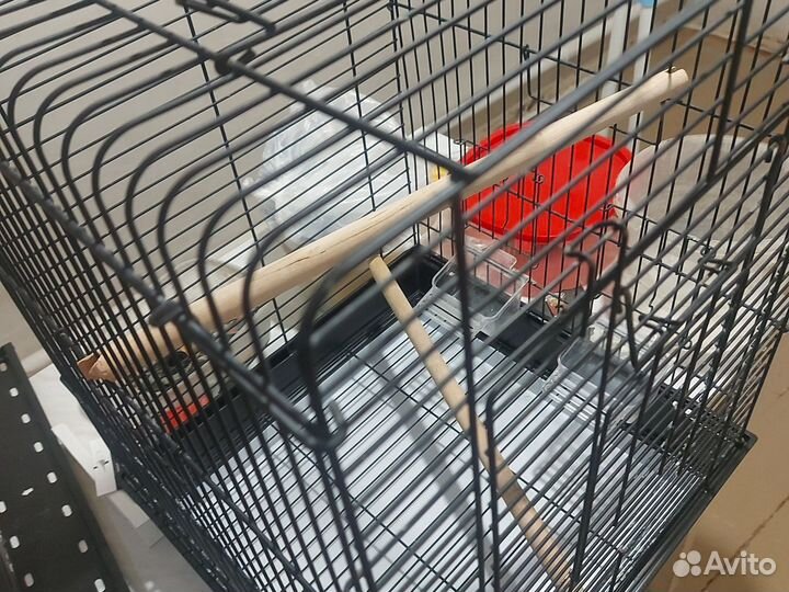 Домик для попугая