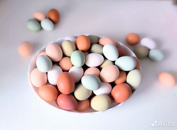 Домашние куриные яйца